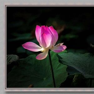 Meet your Posher, Hanh